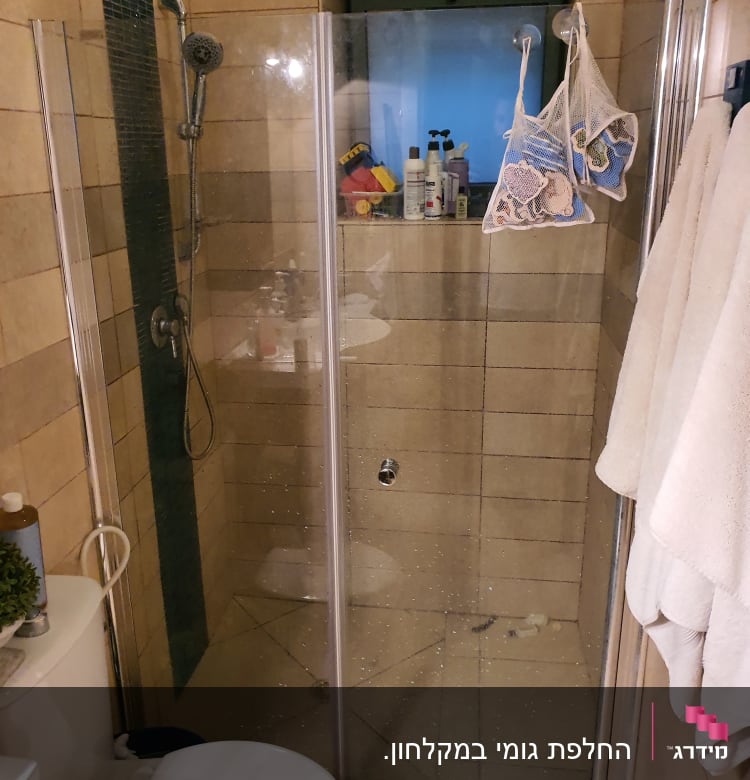 מקלחת עם דלת זכוכית, ראש מקלחת ומדף עם מוצרים